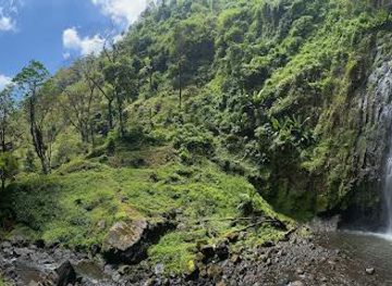 tanzania/moshi/attraction/materuni-waterfalls-and-coffee-tour