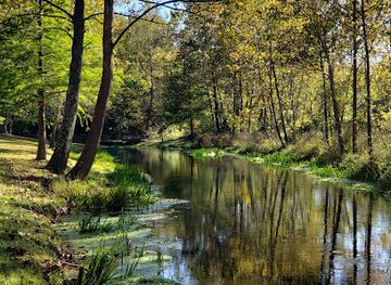 missouri/mark-twain-national-forest/attraction/stone-mill-spring