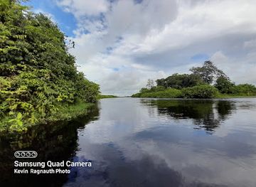 guyana/mazaruni-river/attraction/kevin-s-birding-tours