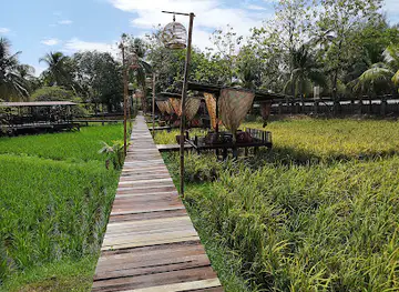 Laman Padi Langkawi