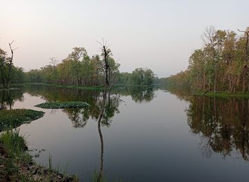 nepal/chitwan/bharatpur/attraction/tikauli-jungle