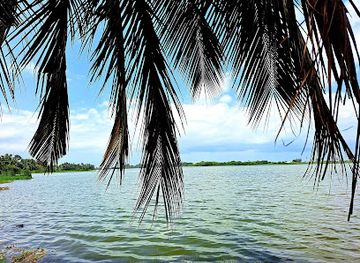 ghana/western-region/attraction/fosu-lagoon