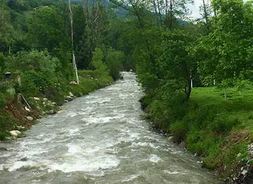 Parku i Lirisë