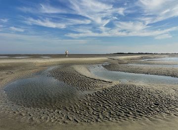 south-carolina/charleston-beaches/attraction/morris-island