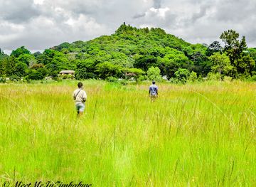 zimbabwe/mashonaland-east/attraction/monavale-vlei