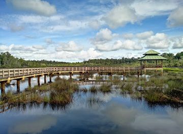 brunei/panaga/attraction/lalak-lake