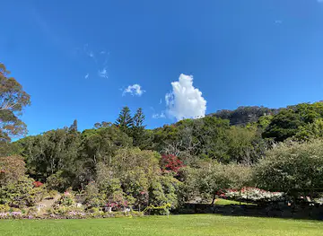 Illawarra Rhododendron and Rainforest Gardens