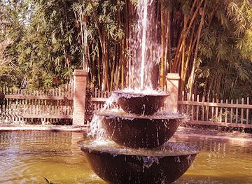 louisiana/bayou-country/attraction/rip-van-winkle-gardens