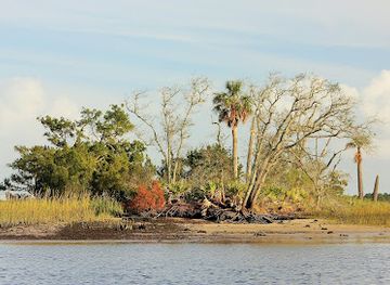 florida/first-coast/attraction/dutton-island-preserve