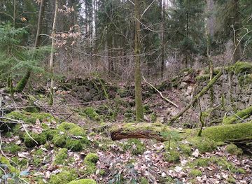 germany/upper-palatinate/attraction/ruinen-im-wald