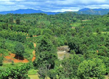 vietnam/central-highlands/attraction/nam-trung-plate-stone