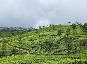 sri-lanka/nuwara-eliya/attraction/lipton-s-seat