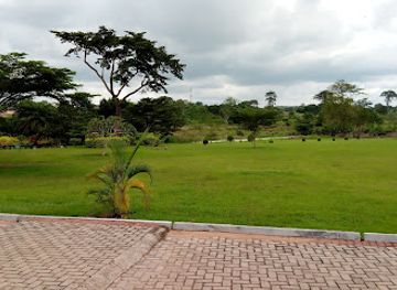 ghana/brong-ahafo/attraction/knust-botanical-garden