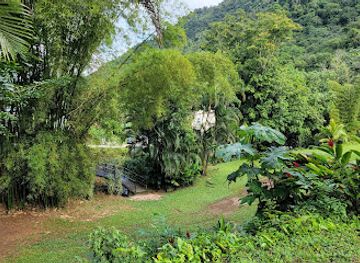 puerto-rico/caribbean-national-forest/attraction/hacienda-negron