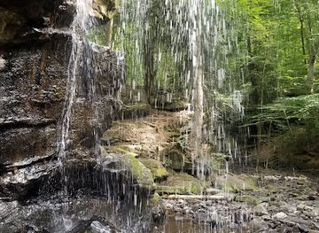 ohio/dundee-falls/attraction/beach-city-wildlife-area