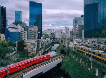 japan/musashi/attraction/hijiri-bridge