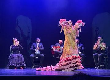 spain/madrid/attraction/teatro-flamenco-madrid