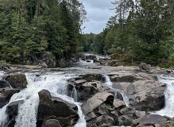 new-zealand/rotorua/attraction/mclaren-falls-park