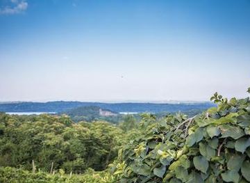 new-york/poughkeepsie/attraction/benmarl-winery