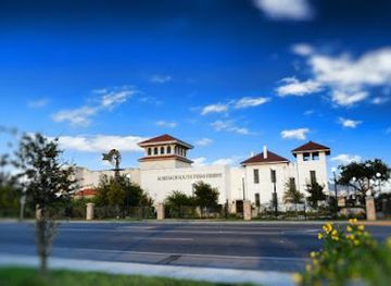 texas/south-texas/attraction/museum-of-south-texas-history
