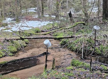lithuania/zemaitija-national-park/attraction/koiskalnio-saltinis