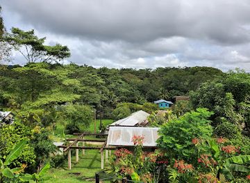 belize/vaca-plateau/attraction/eladio-s-farm-chocolate