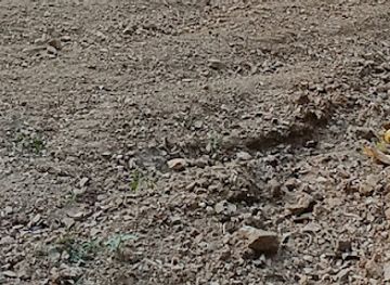 thailand/erawan-national-park/attraction/atv-kanchanaburi-adventure