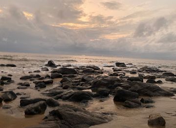 cameroon/campo-ma-an-national-park/attraction/ngoye