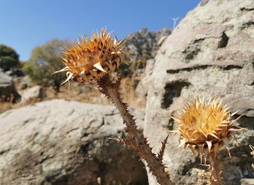 greece/kos/kardamena/attraction/u