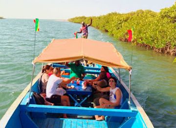 senegal/sine-saloum-delta/attraction/djifere