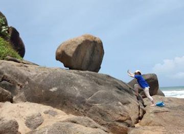 sri-lanka/hikkaduwa/attraction/sea-turtle-education-and-conservation