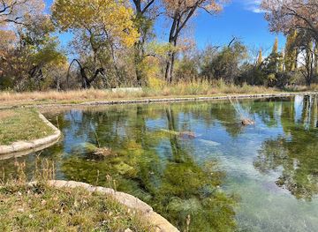 new-mexico/carlsbad-caverns-national-park/attraction/rattlesnake-springs-picnic-area