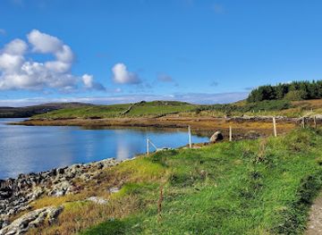 ireland/connemara-national-park/attraction/dk-connemara-oysters
