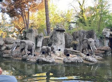 spain/madrid/attraction/la-jungla