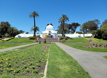 california/san-francisco/attraction/conservatory-of-flowers