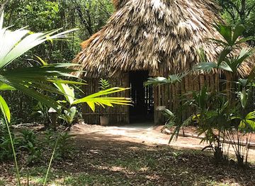 belize/crooked-tree-wildlife-sanctuary/attraction/belize-botanic-gardens