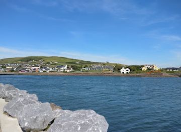 ireland/county-kerry/attraction/dingle-oceanworld-aquarium