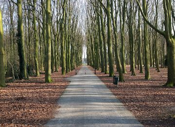 netherlands/south-holland/attraction/rijswijk-forest