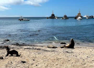 ecuador/galapagos-islands/attraction/malecon-san-cristobal