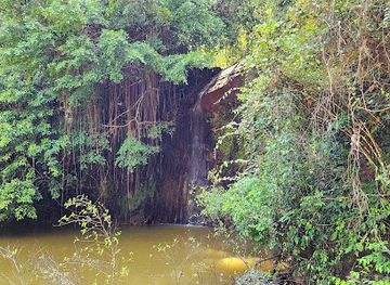 brunei/temburong-district/attraction/tasek-lama-waterfall