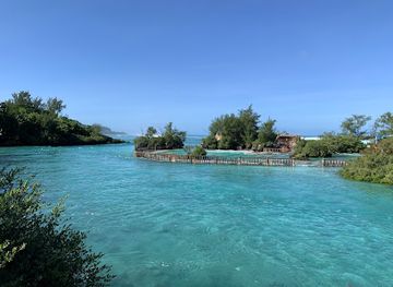 northern-mariana-islands/rota/attraction/pinatang-park