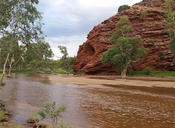 australia/macdonnell-ranges/attraction/ilparpa-swamp-wildlife-protected-area