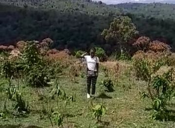 kenya/mount-elgon-national-park/attraction/mt-elgon-kaberwa-forest