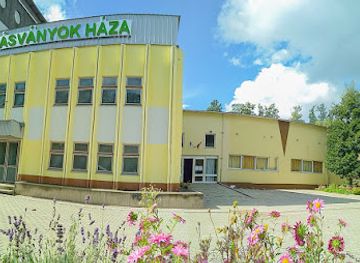 hungary/matra-mountains/attraction/asvanyok-haza-magangyujtemeny