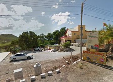 curacao/boca-hulu/attraction/reef-restoration-curacao-outplant