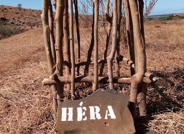 madagascar/antsiranana/attraction/baobab-hearth-a-suarezensis