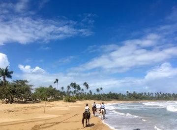 dominican-republic/samana/attraction/rancho-playa