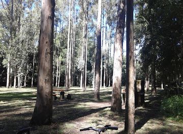 chile/araucania-region/attraction/municipal-de-pucon-park