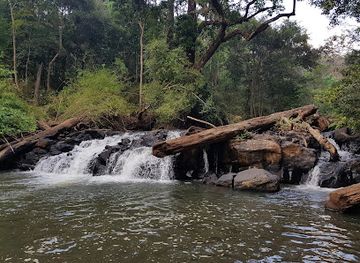 cambodia/mondulkiri-province/attraction/mondulkiri-project-elephant-sanctuary