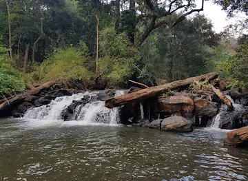 Mondulkiri Project Elephant Sanctuary